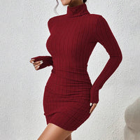 Knitted Elegant Dress